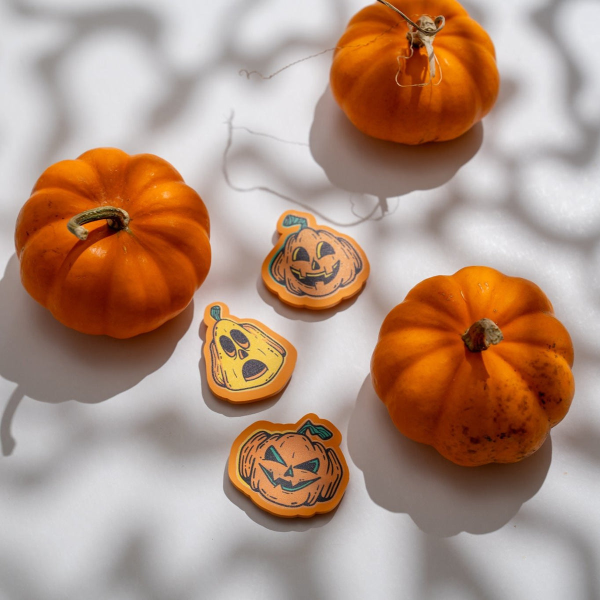 Pumpkin Patch Magnet Set